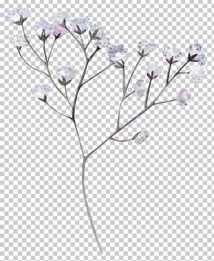 Portable Network Graphics Flower White PNG, Clipart, Blossom, Body Jewelry, Branch, Cut Flowers, Download Free PNG Download