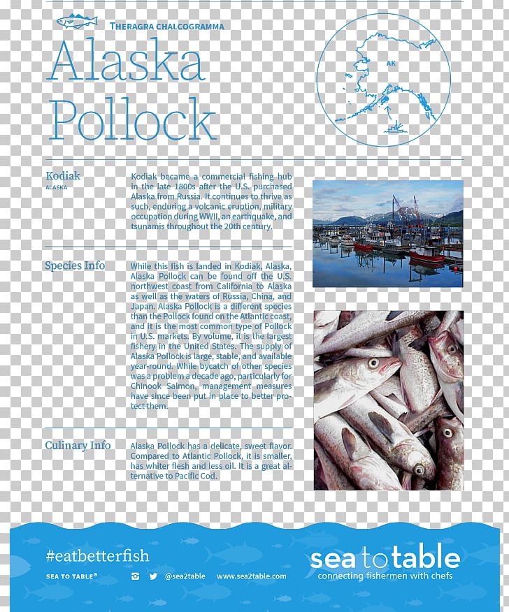 Sea To Table Fishing Fishery Seafood Wild Fisheries PNG, Clipart, Advertising, Alaska Pollock, Brochure, Diners, Fish Free PNG Download