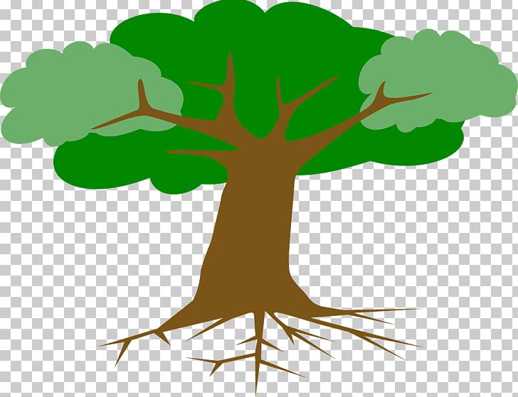 Drawing Root Tree PNG, Clipart, Agac, Branch, Cross Section, Drawing, Fibrous Root System Free PNG Download