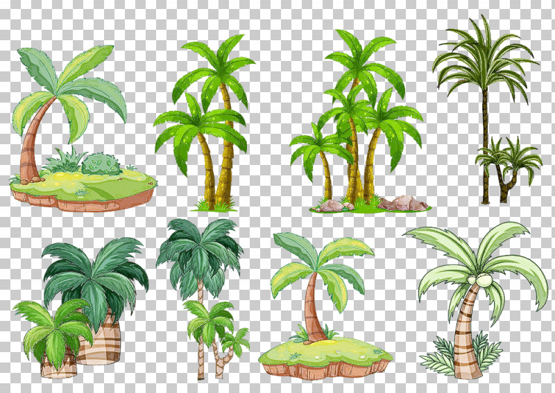 Palm Tree PNG, Clipart, Arecales, Elaeis, Flower, Flowerpot, Houseplant Free PNG Download