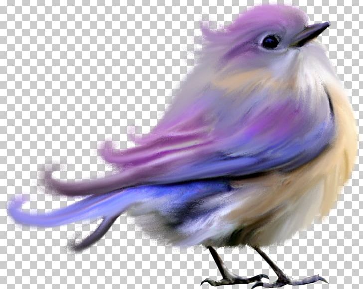 Lovebird Hummingbird PNG, Clipart, Animals, Beak, Bird, Bird Flight, Color Free PNG Download
