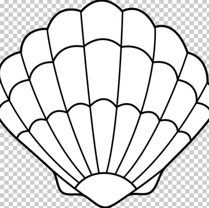 Seashell Coloring Book Drawing Mollusc Shell PNG, Clipart, Adult, Angle, Animals, Area, Black And White Free PNG Download