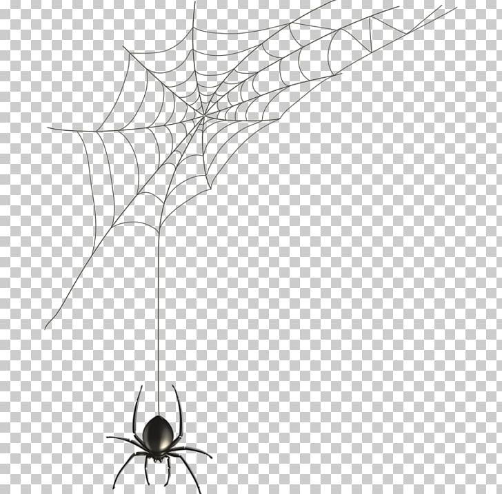 Spider Web PNG, Clipart, Arachnid, Arthropod, Black And White, Black House Spider, Branch Free PNG Download