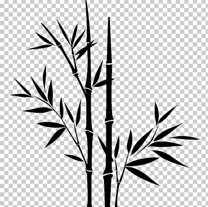 Tropical Woody Bamboos Sticker Paper Wall Decal PNG, Clipart, Bamboo, Bamboo Musical Instruments, Bamboo Pattern, Black And White, Branch Free PNG Download