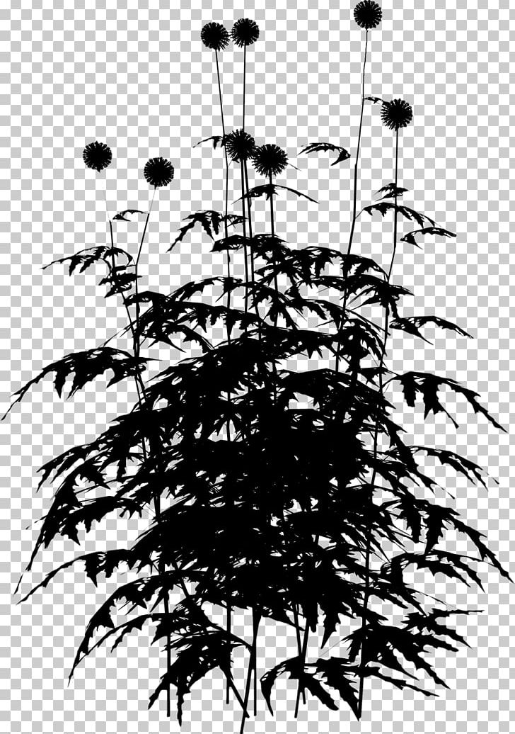 Black And White PNG, Clipart, Black, Black And White, Branch, Color, Computer Icons Free PNG Download