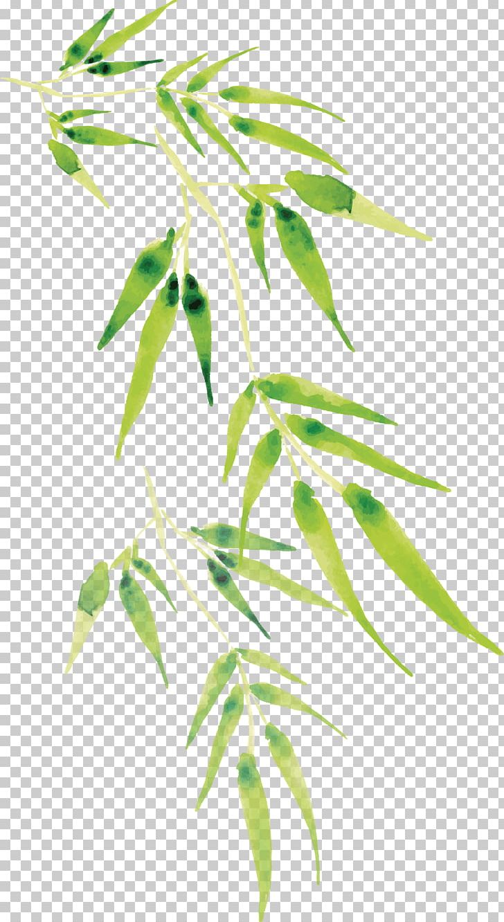 Cartoon Bamboo PNG, Clipart, Balloon Car, Bamboo Leaf, Beautify, Branch, Cartoon Arms Free PNG Download