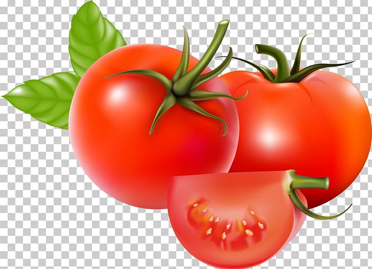 Plum Tomato Bush Tomato Tomato Soup Vegetable PNG, Clipart, Cdr, Diet Food, Encapsulated Postscript, Euclidean Vector, Food Free PNG Download
