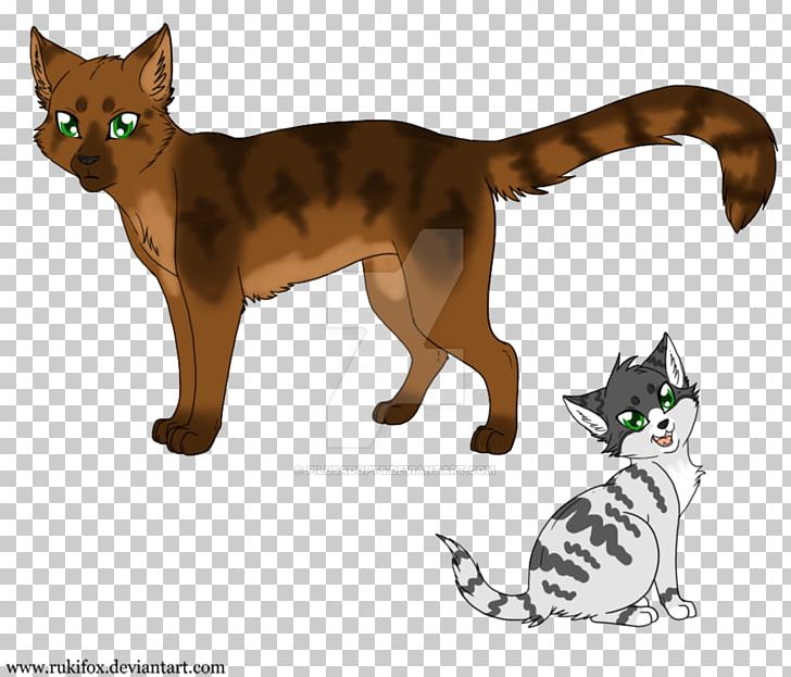 Whiskers Wildcat Domestic Short-haired Cat Tabby Cat PNG, Clipart, Animals, Asian, Canidae, Carnivoran, Cat Free PNG Download