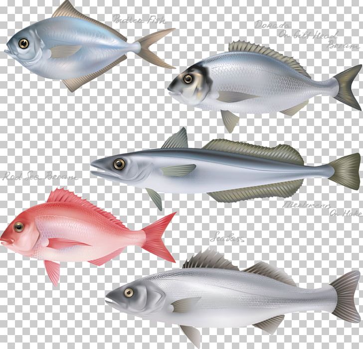 Fish Steak Fishing PNG, Clipart, Adobe Icons Vector, Animal, Animals, Bony Fish, Camera Icon Free PNG Download