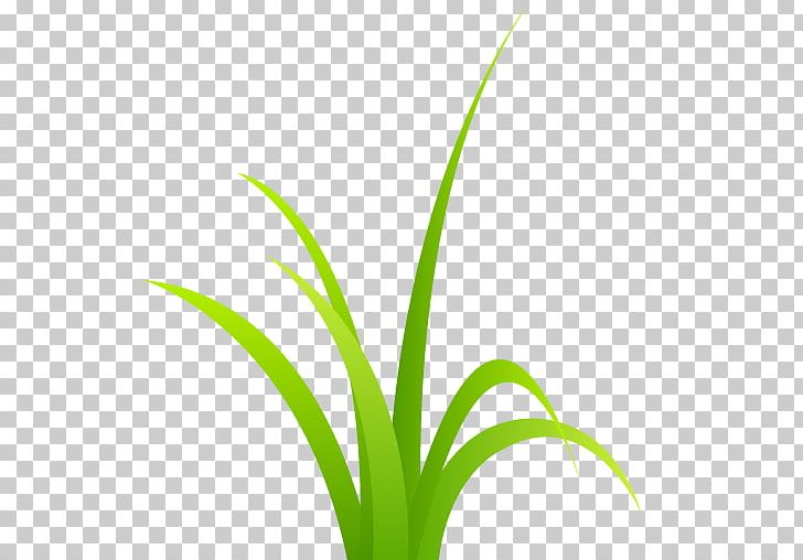 Grasses Plant Stem Garden Hedge PNG, Clipart, Blog, Flower, Flowering Plant, Garden, Gardening Free PNG Download