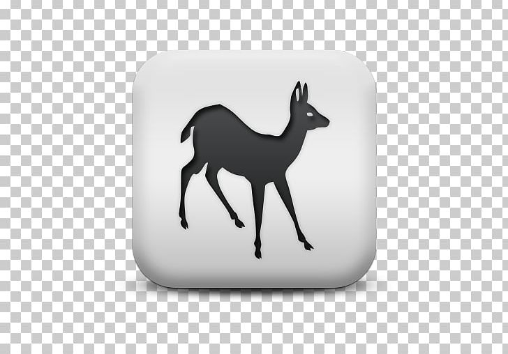 White-tailed Deer PNG, Clipart, Animal, Animals, Antelope, Antler, Black And White Free PNG Download