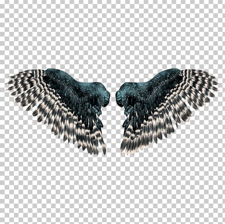 Wing PNG, Clipart, Butterflies And Moths, Computer Icons, Computer Software, Download, Eagle Free PNG Download