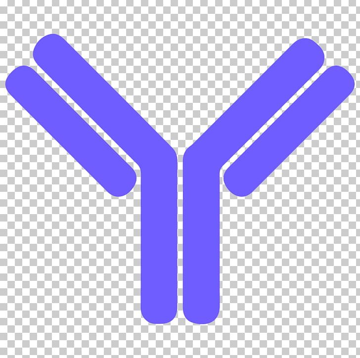 Antibody Letter B Cell PNG, Clipart, Alphabet, Angle, Antibody, Antigen, B Cell Free PNG Download