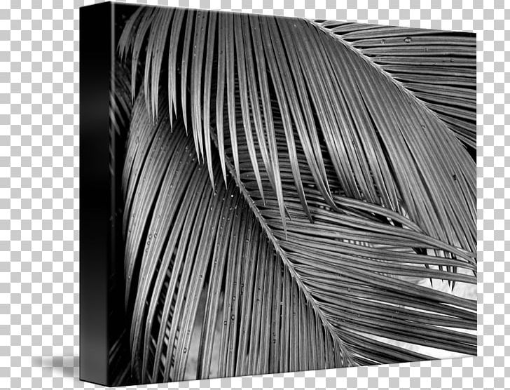 Line Photography Wood Angle /m/083vt PNG, Clipart, Angle, Art, Black, Black And White, Black M Free PNG Download