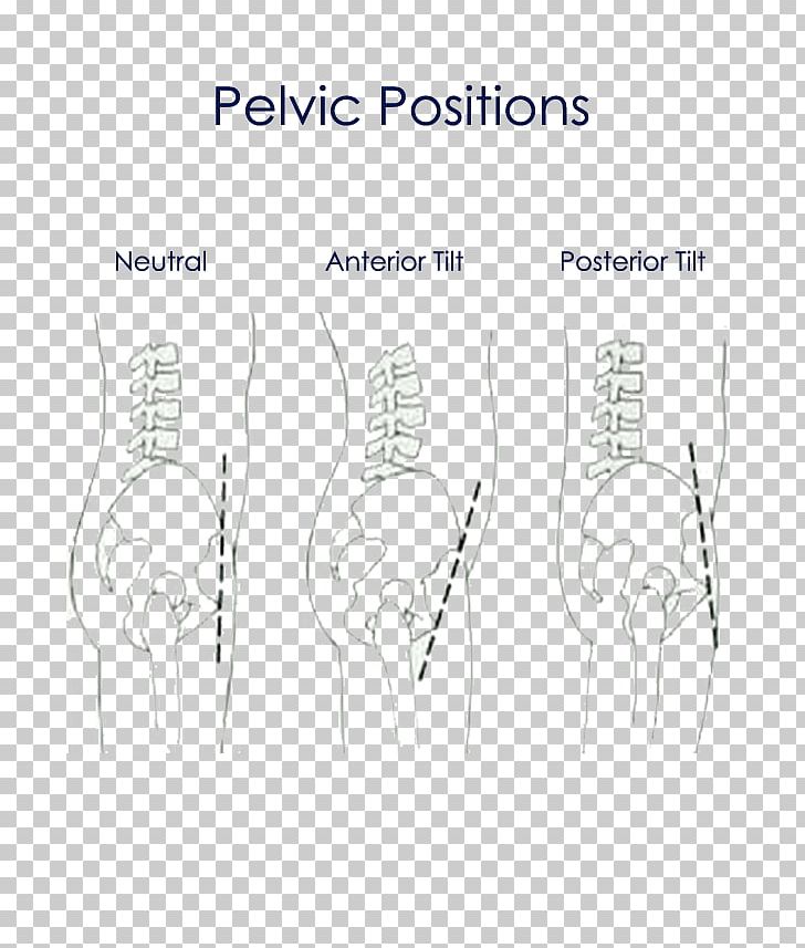 /m/02csf Finger Drawing Bone PNG, Clipart, Abdomen, Angle, Area, Arm, Black And White Free PNG Download