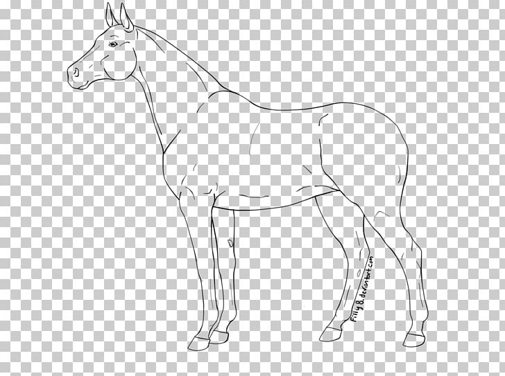 Mule Foal Mustang Colt Stallion PNG, Clipart, Arab, Artwork, Black And White, Bridle, Colt Free PNG Download