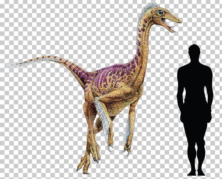 Dromiceiomimus Dinosaur Late Cretaceous Velociraptor PNG, Clipart, Animal, Animal Figure, Chalk, Cretaceous, Dinosaur Free PNG Download