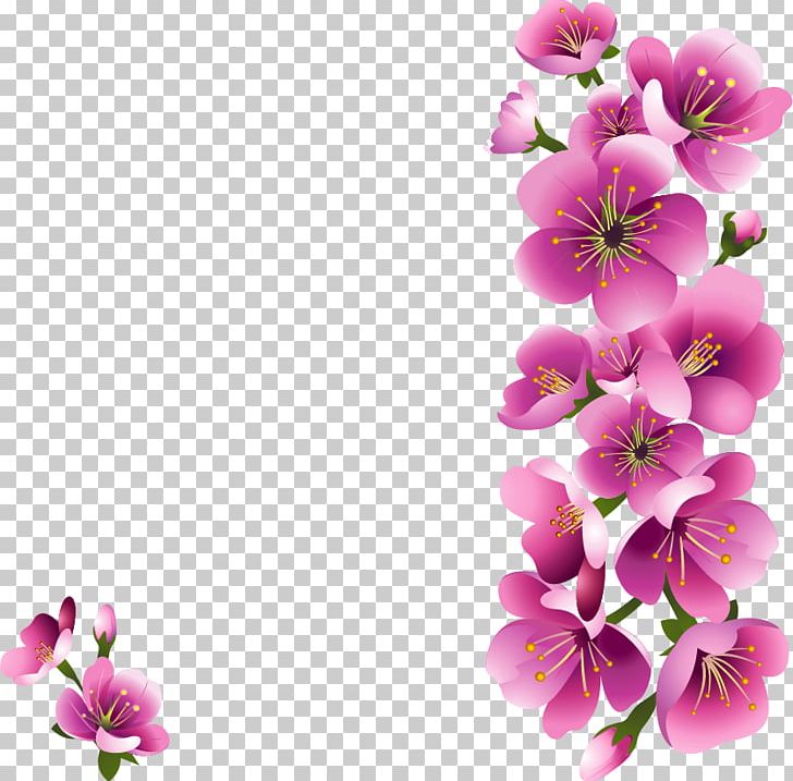 Flower Floral Design PNG, Clipart, Annual Plant, Blossom, Blue, Branch, Color Free PNG Download