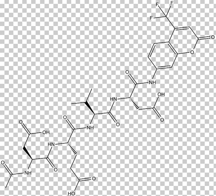 White Point Angle PNG, Clipart, Angle, Area, Black And White, Caspase 3, Circle Free PNG Download