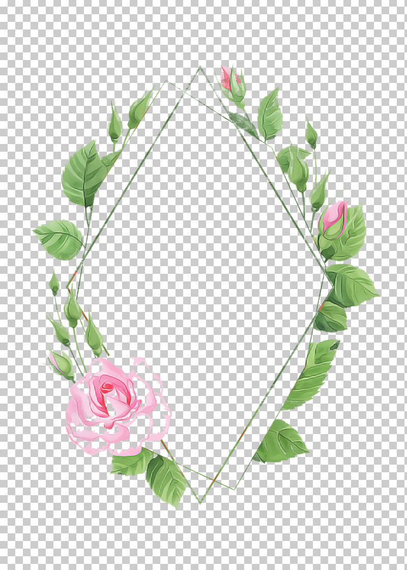 Floral Design PNG, Clipart, Cabbage Rose, Cut Flowers, Floral Design, Garden, Garden Roses Free PNG Download