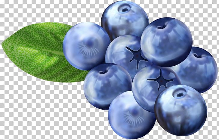 Blueberry Grape Bilberry Huckleberry PNG, Clipart, Berry, Bilberry, Blue, Blueberries, Blueberry Free PNG Download