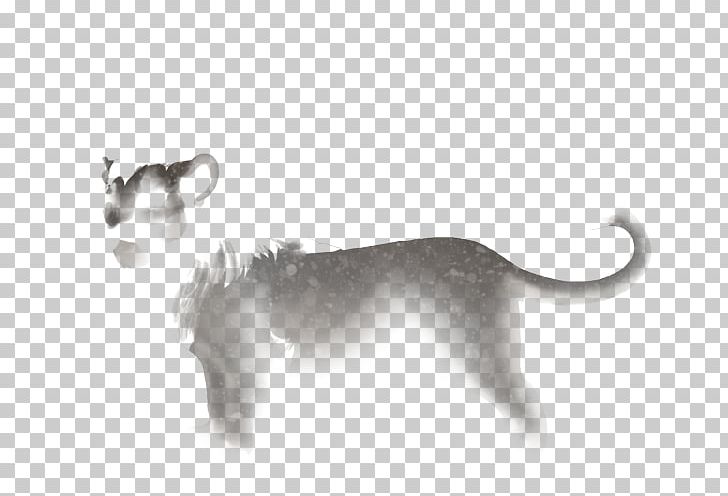 Dog Big Cat Puma Snout PNG, Clipart, Animals, Big Cat, Big Cats, Black And White, Carnivoran Free PNG Download