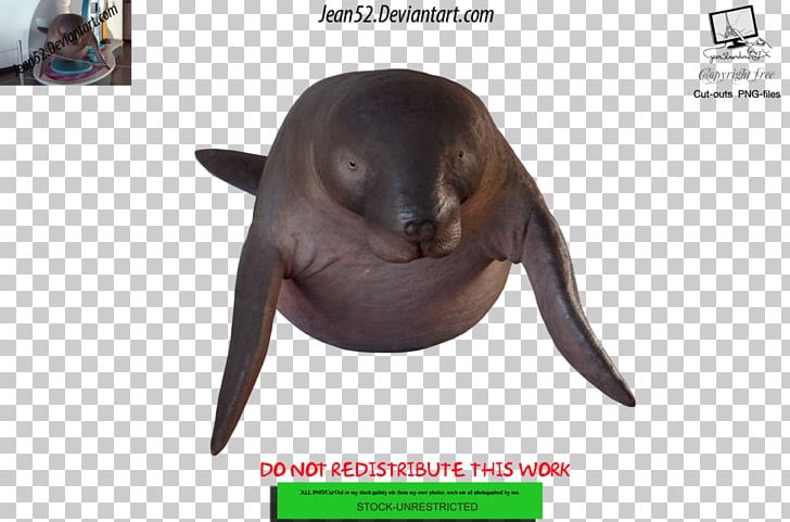 Dugong Art Tiger Drawing PNG, Clipart, Animal, Aquatic Animal, Art, Art Museum, Deviantart Free PNG Download