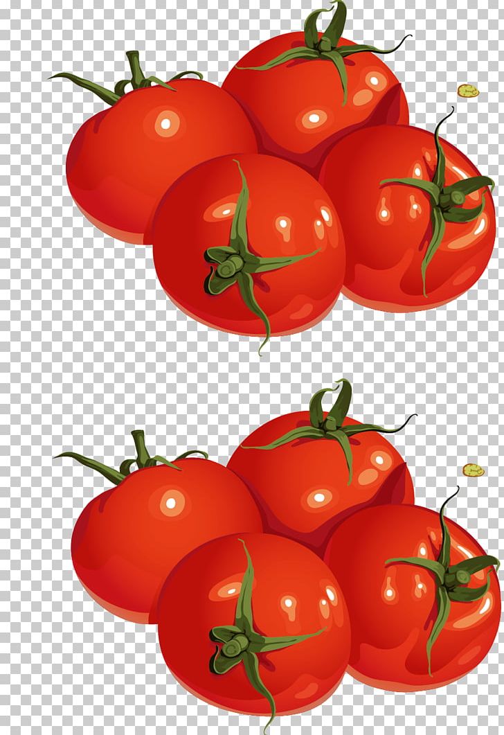 Plum Tomato Cherry Tomato Bush Tomato Drawing PNG, Clipart, Apple, Cherry, Chili Pepper, Encapsulated Postscript, Food Free PNG Download