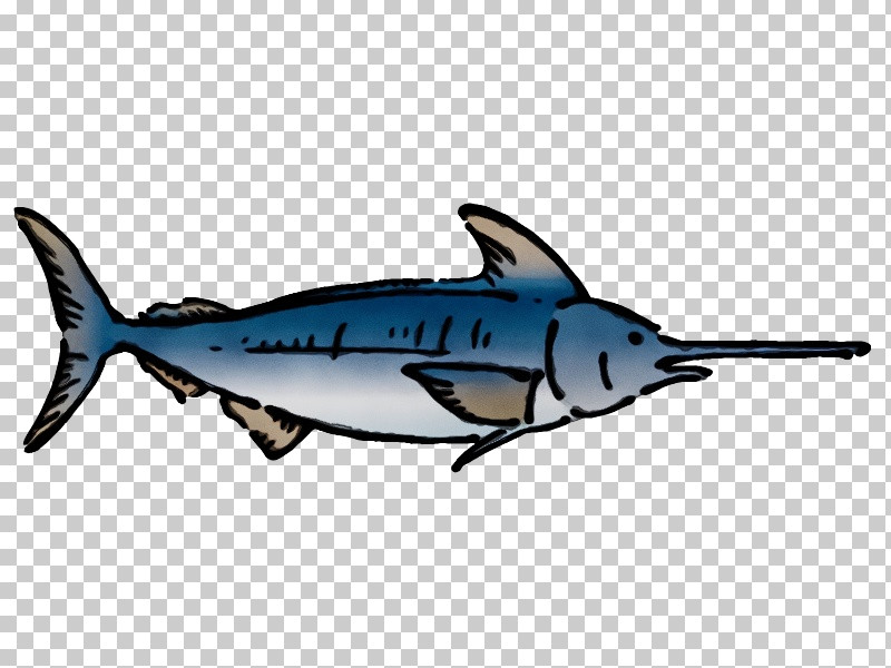 Shark PNG, Clipart, Cetaceans, Dolphin, Paint, Porpoise, Shark Free PNG Download
