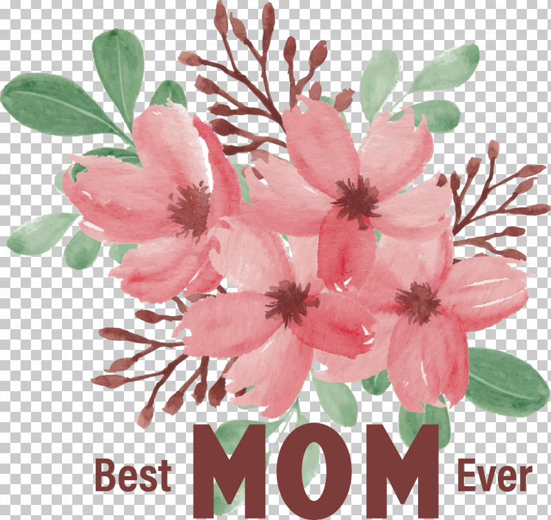 Cherry Blossom PNG, Clipart, Cherry Blossom, Drawing, Floral Design, Flower, Flower Bouquet Free PNG Download