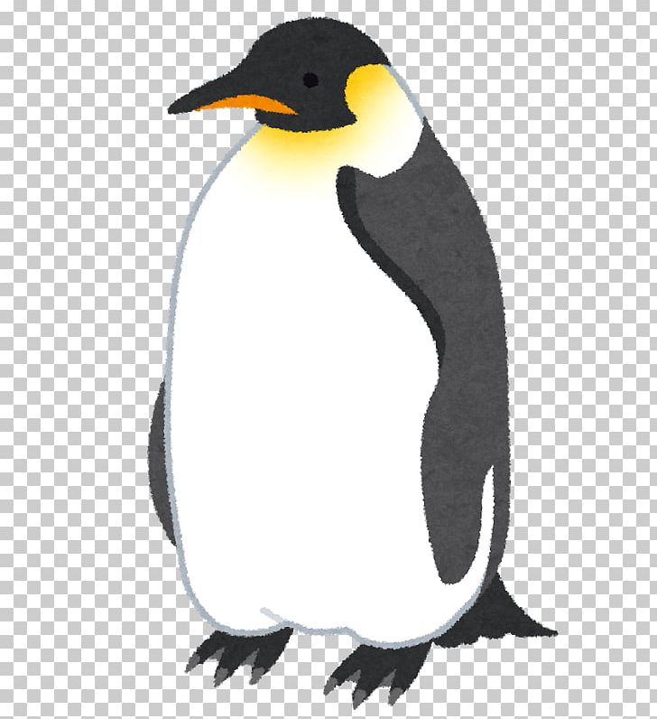 King Penguin Emperor Penguin いらすとや PNG, Clipart, Animal, Beak, Bird, Blog, Emperor Penguin Free PNG Download