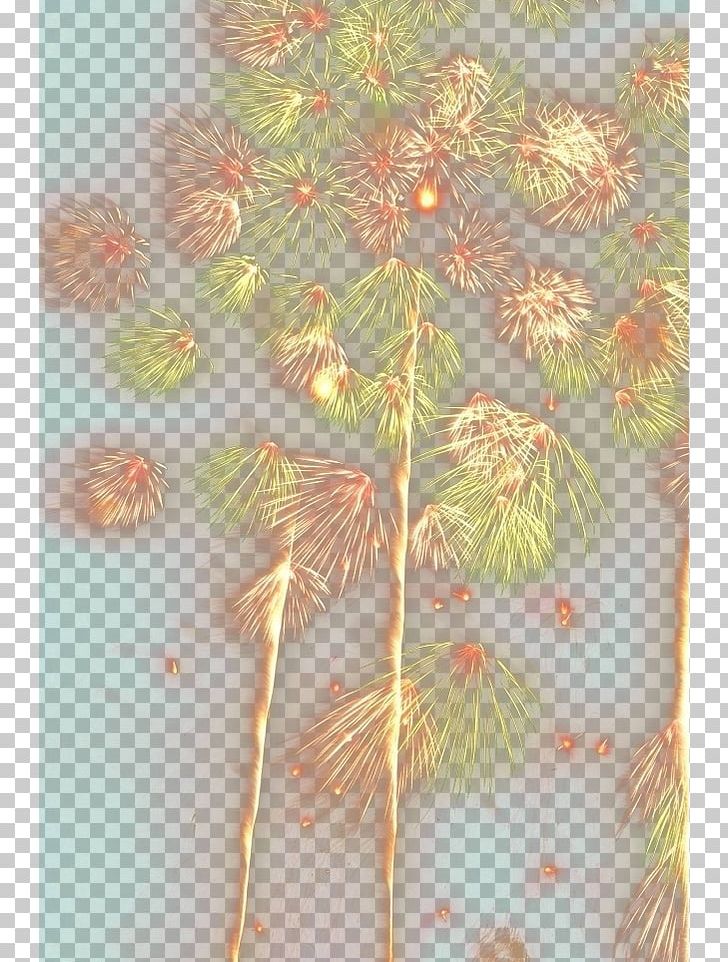 Petal Floral Design Leaf Pattern PNG, Clipart, Branch, Cartoon Fireworks, Festival, Firework, Fireworks Free PNG Download