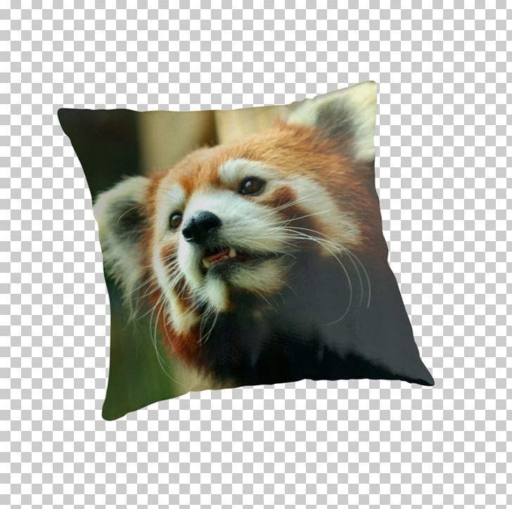 Red Panda Throw Pillows Cushion Whiskers Giant Panda PNG, Clipart, Carnivoran, Cushion, Fur, Giant Panda, Mammal Free PNG Download