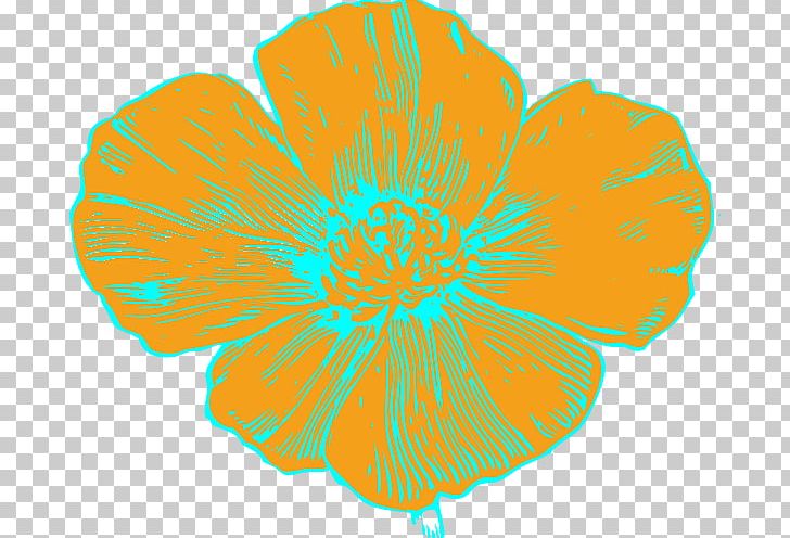 Flower California Poppy PNG, Clipart, Blue, California, California Poppy, Color, Cut Flowers Free PNG Download