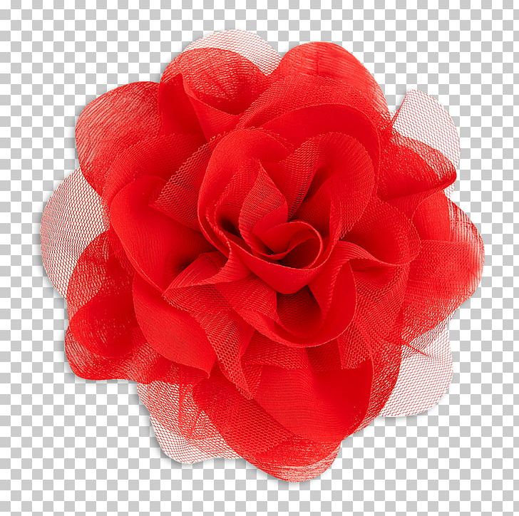 Garden Roses Cut Flowers Petal PNG, Clipart, Camellia, Cut Flowers, Flower, Flowers, Garden Free PNG Download