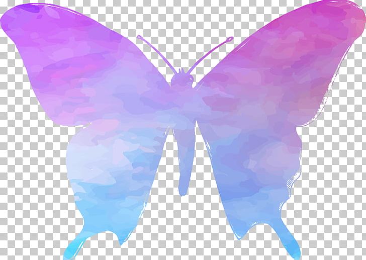 Healing Texel Symmetry Fairy 2M Moth PNG, Clipart, Butterfly, Course, Fairy, Holism, Insect Free PNG Download
