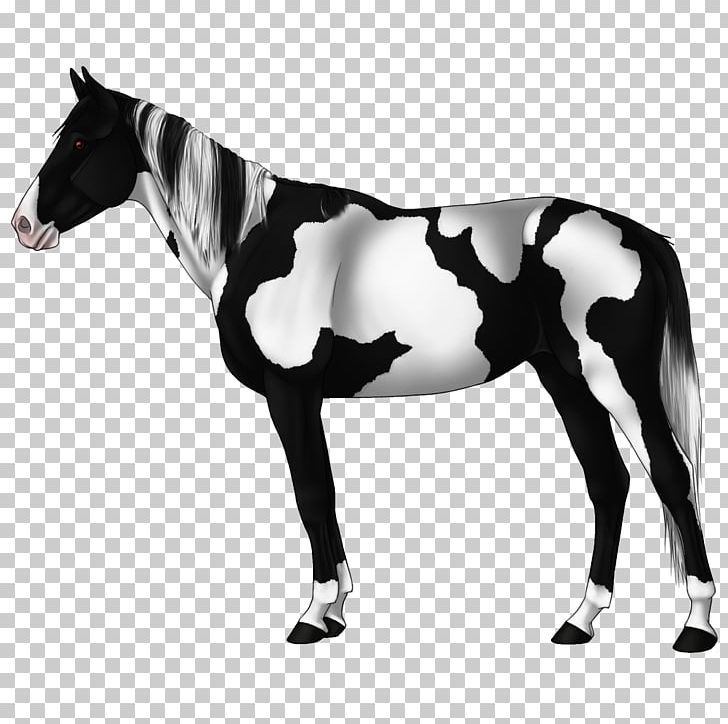 Mustang Arabian Horse Stallion American Quarter Horse Andalusian Horse PNG, Clipart, American Quarter Horse, Ara, Black And White, Bridle, Equus Free PNG Download