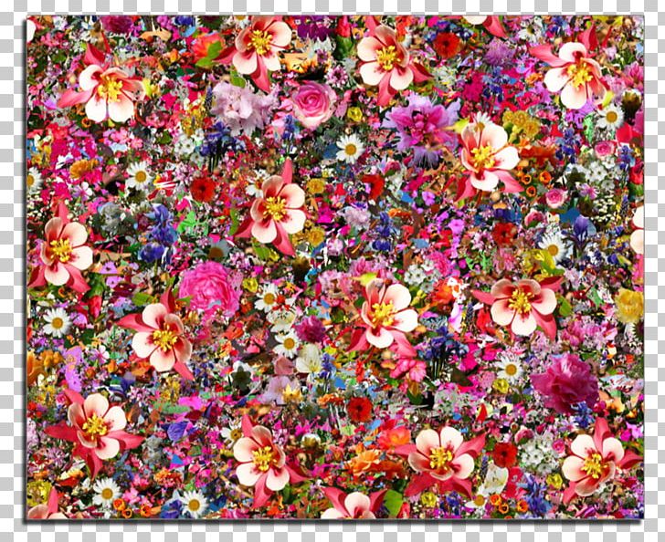 Flower Psychedelia Desktop Psychedelic Art PNG, Clipart, Art, Blossom, Collage, Color, Desktop Wallpaper Free PNG Download