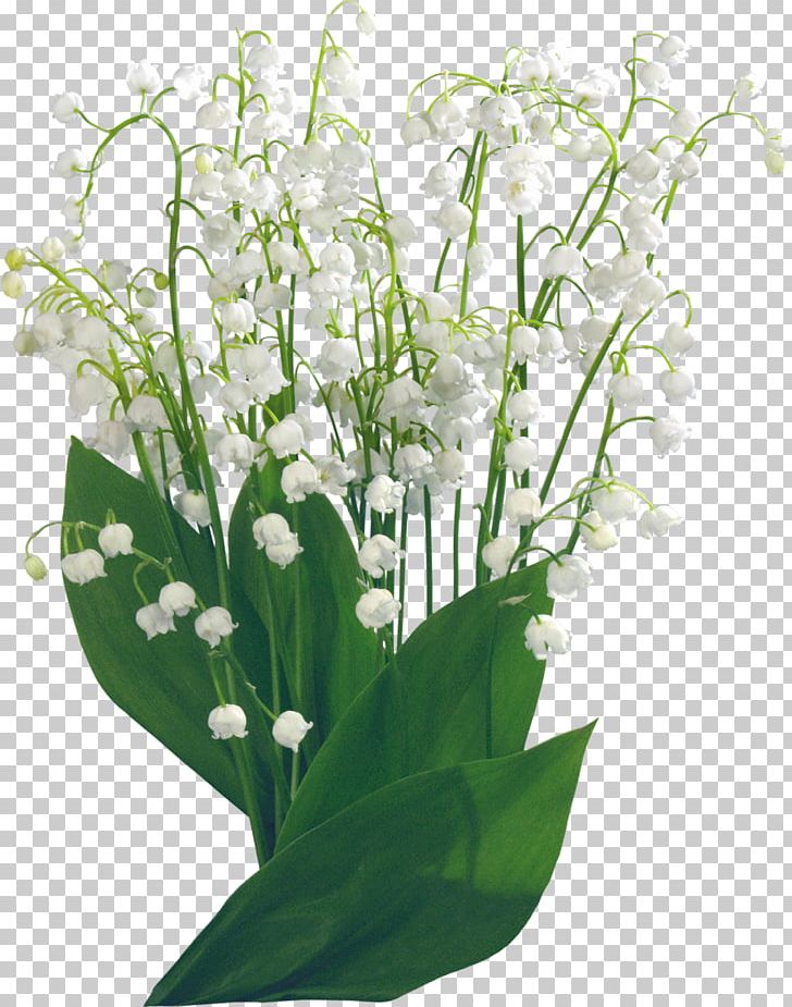 Lily Of The Valley Flower PNG, Clipart, Clip Art, Convallaria, Cut Flowers, Encapsulated Postscript, Floral Design Free PNG Download
