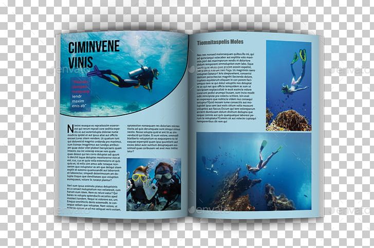 Magazine Tourism Marine Biology Page Layout Marine Mammal PNG, Clipart, Biology, Brand, Brochure, City, Competition Free PNG Download
