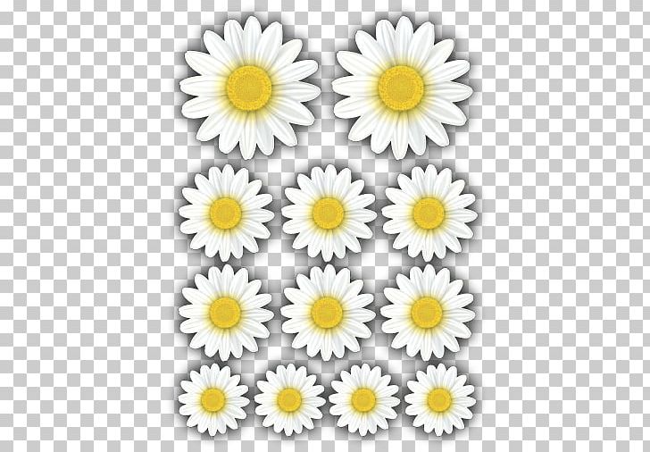 Oxeye Daisy Chrysanthemum Roman Chamomile Floral Design Cut Flowers PNG, Clipart, Chamaemelum Nobile, Chrysanthemum, Chrysanths, Cut Flowers, Daisy Free PNG Download