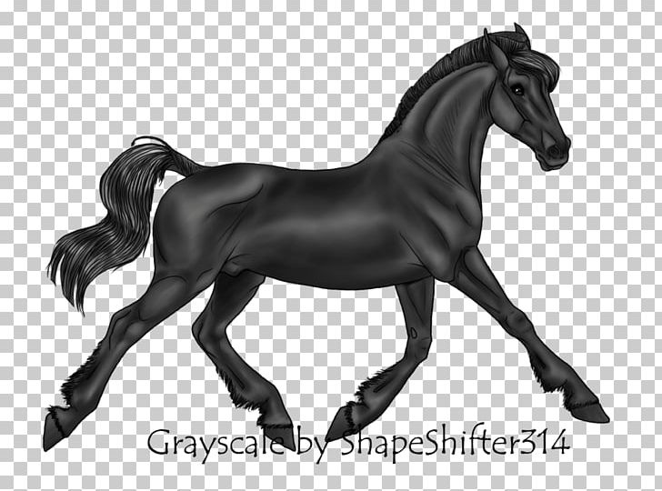 Stallion Mustang Pony Foal Mare PNG, Clipart, Animal Figure, Black And White, Bridle, Colt, Cutting Free PNG Download