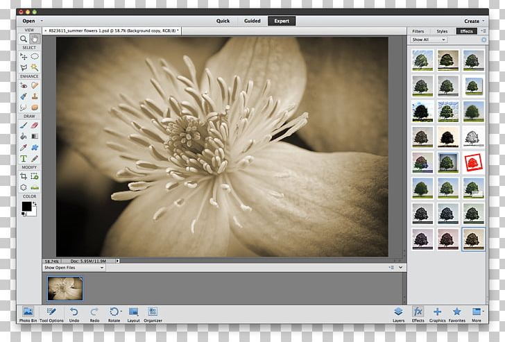 Adobe Photoshop Elements Editing Adobe Lightroom PNG, Clipart, Adobe Lightroom, Adobe Photoshop Elements, Adobe Premiere Elements, Adobe Premiere Pro, Adobe Systems Free PNG Download