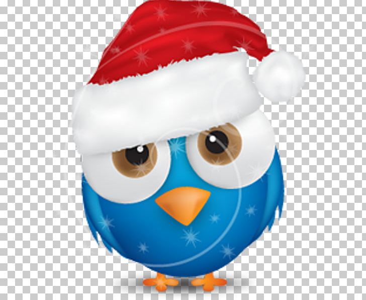 Bird Christmas Santa Claus Computer Icons PNG, Clipart, Advent Calendars, Animals, Beak, Bird, Bird Of Prey Free PNG Download