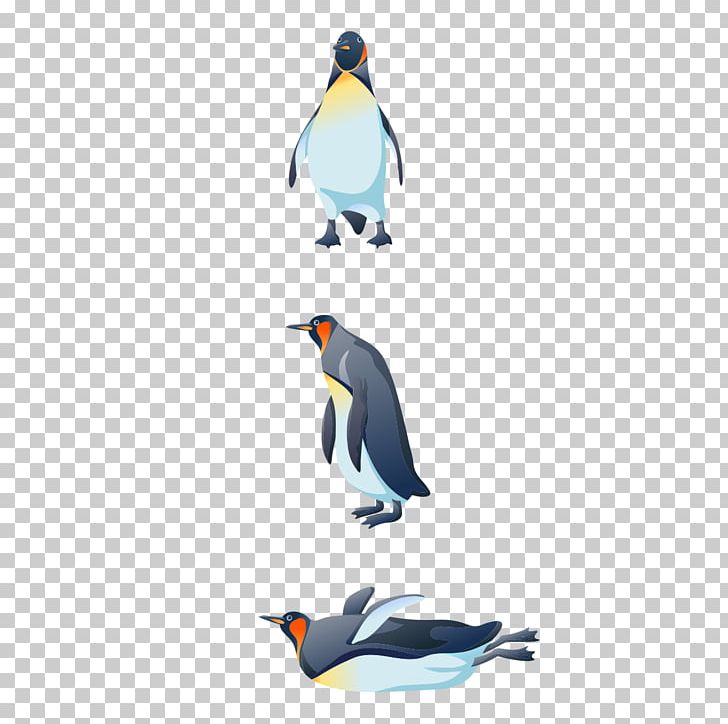 Bird Penguin Gulls Swallow PNG, Clipart, Adobe Illustrator, Animal, Animals, Beak, Bird Free PNG Download