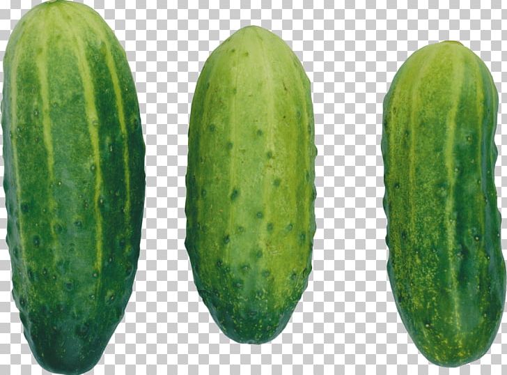 Cucumber Icon PNG, Clipart, Computer Icons, Digital Image, Encapsulated Postscript, Exercise, Fit Free PNG Download
