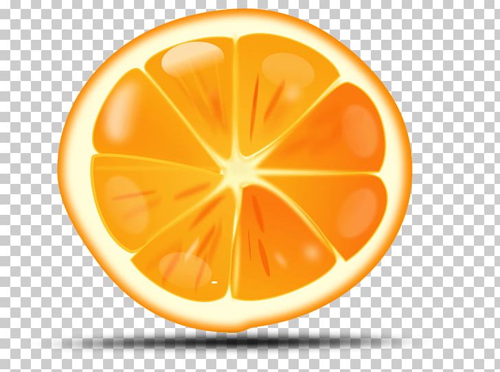 Orange PNG, Clipart, Blog, Canon, Circle, Citrus, Cleanfood Free PNG Download