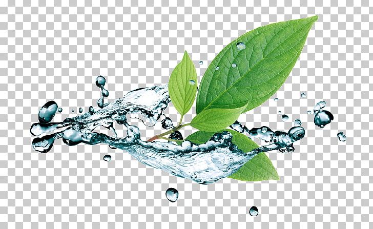 Water Stock Photography Leaf PNG, Clipart, Computer Wallpaper, Depositphotos, Ice, Ice Cube, Istock Free PNG Download