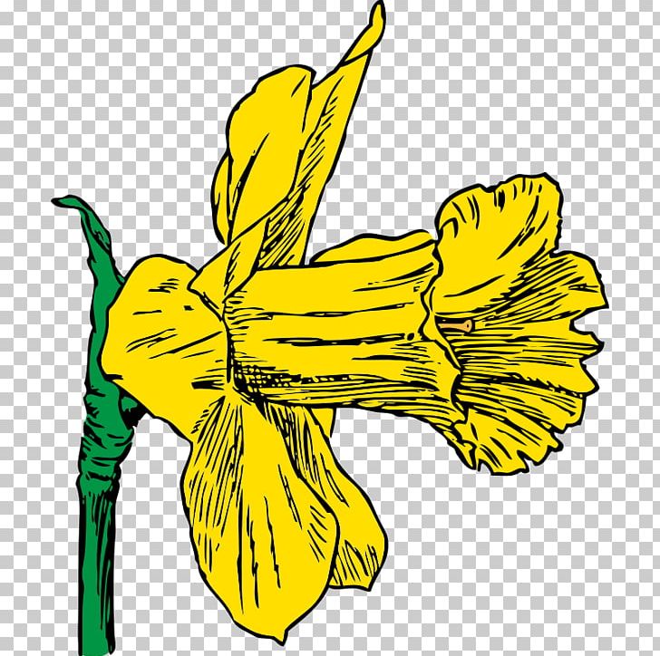 Daffodil Drawing PNG, Clipart, Art, Artwork, Black And White, Blog, Computer Icons Free PNG Download