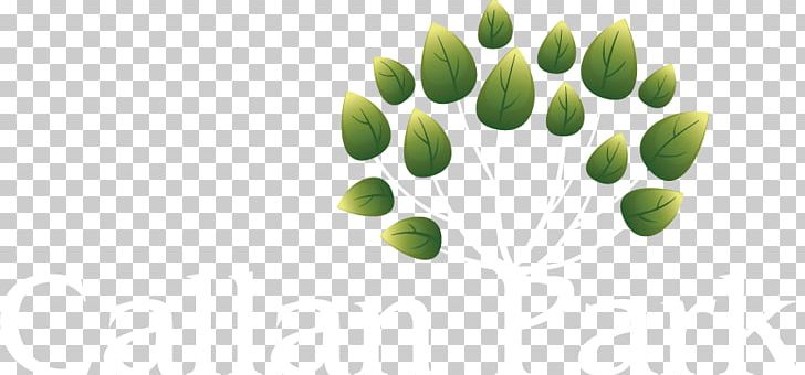 Graphics Drawing PNG, Clipart, Drawing, Graphic Design, Grass, Green, Leaf Free PNG Download